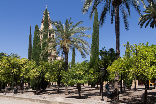 02. Patio de los Naranjos